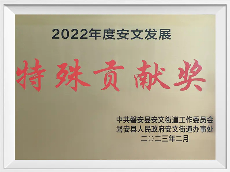 特殊貢獻(xiàn)獎